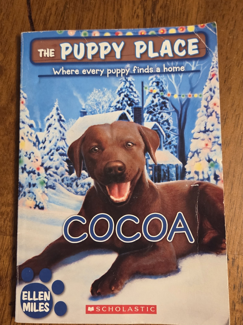 Scholastic Brown Puppy Picture Book — Cocoa
